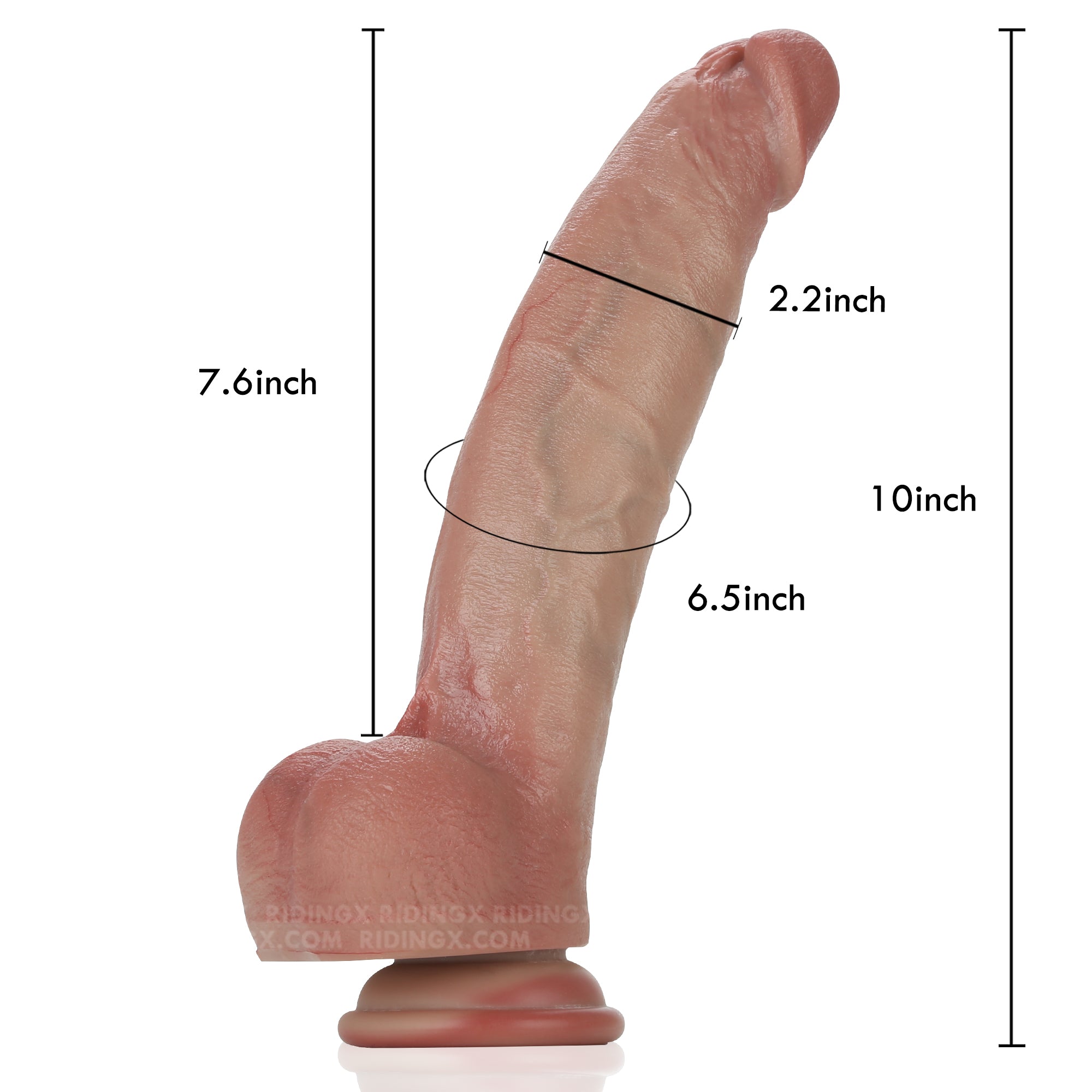 Baron 10 inch Realistic Dildo Real Skin Lifelike Dildo &  Soft Skin With Keel