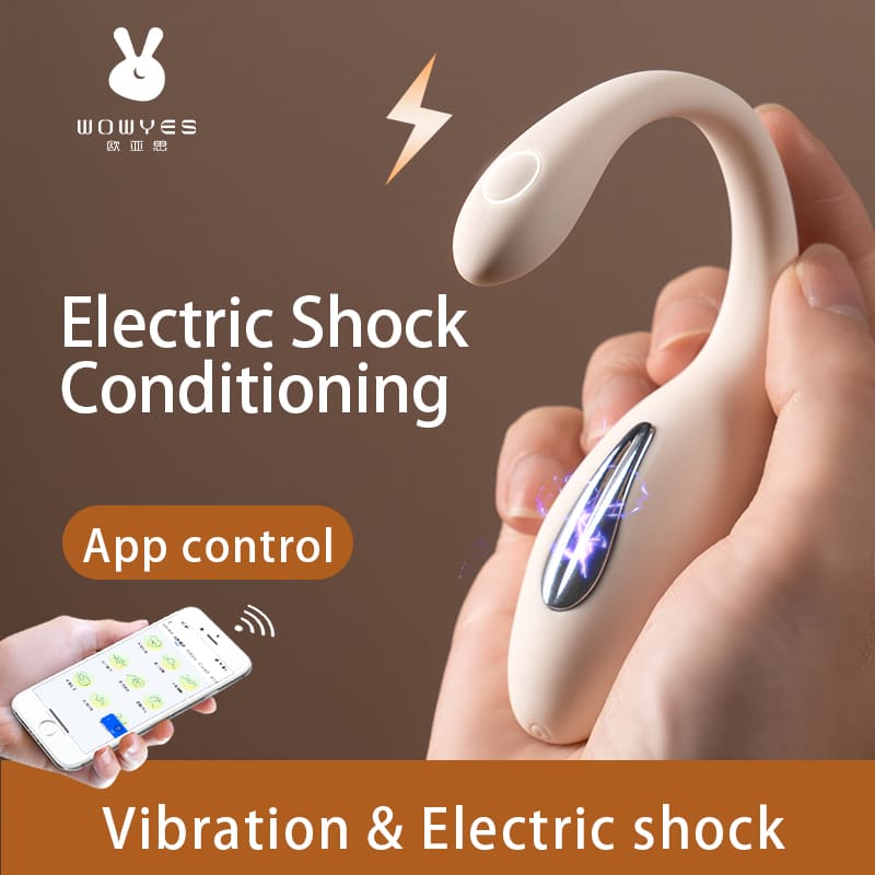 10 Modes Long Distance Vibrator & 3 Mode Selectric Shock Vibrator