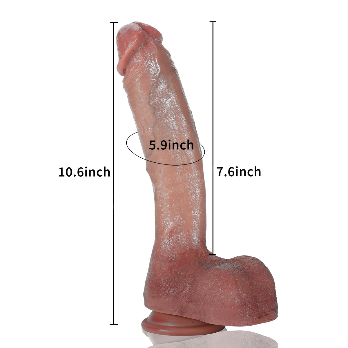 Alex 10Inch Ultra Realistic Glan Lifelike Dildo Going Super Deep & Lifelike Skintone